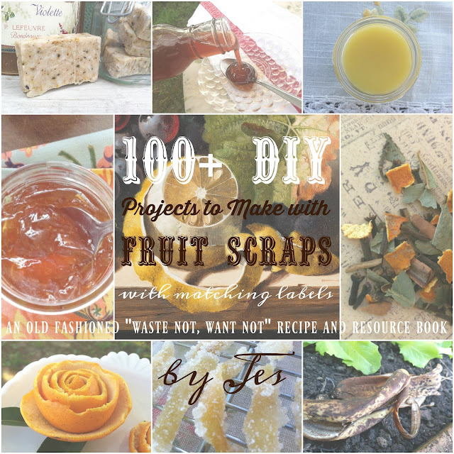 100 DIY Projects to Make w/Fruit Scraps