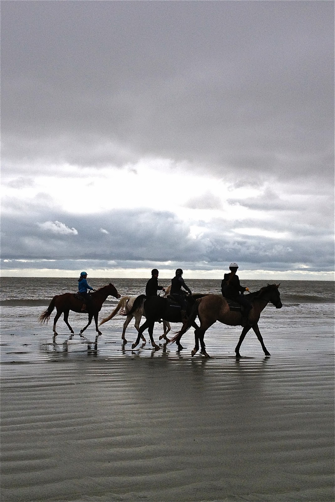 Seabrook Island, South Carolina Thanksgiving 2013