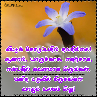 Tamil Quote Image