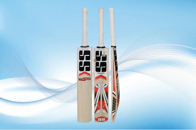 ss master 100 kashmir willow bat