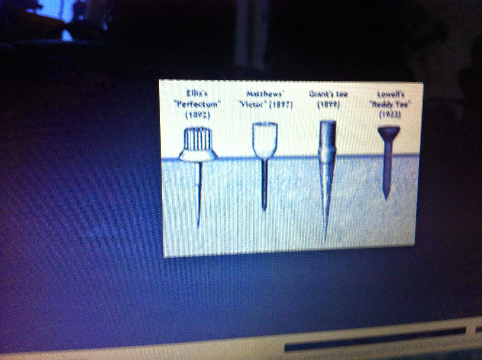 THE BLACK SOCIAL HISTORY BLACK SOCIAL HISTORY AFRICAN AMERICAN