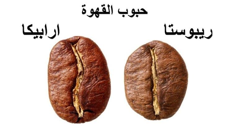 القهوة انواع حبوب القهوة و افضل طرق عملها