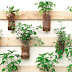 HOW TO PLANT A VERTICAL GARDEN  