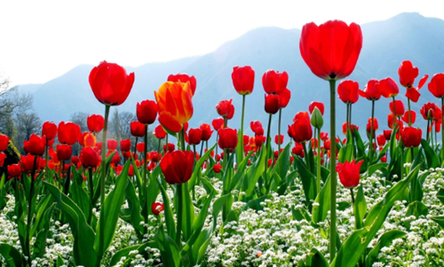 Arti Mimpi Beli Sepatu Baru Menurut Primbon Jawa Pendapat Ulama Serta Adab Bermimpi Buruk Bukan Tafsir Mimpi Biasa