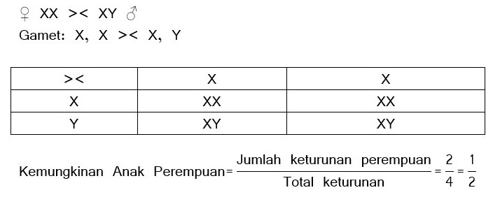 Pembahasan Soal Biologi Sma Kelas 12 Bab Hereditas Pola Pewarisan Sifat Soal B Myrightspot Com