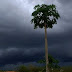 Previsão aponta que deve chover em Malhada de Pedras e região circunvizinhas neste final de semana 