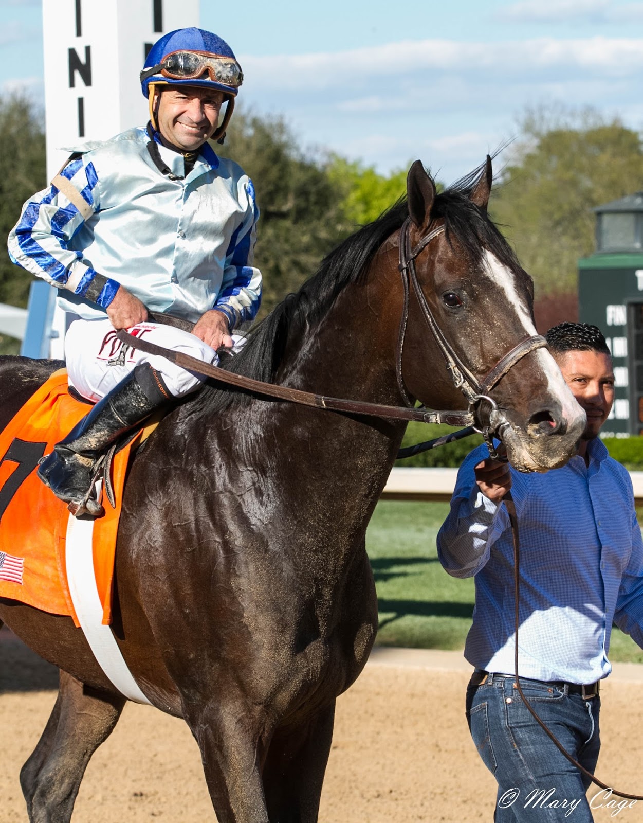 Horse Racing Nation Entries - y2ofi09