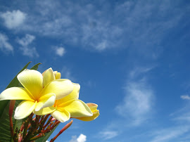 Flowers and Clear Blue Skies!