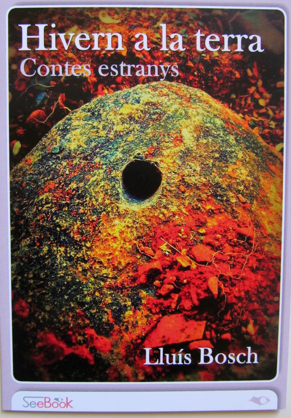 Contes estranys. E-book