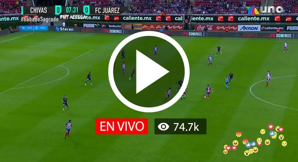 ver partido en vivo america vs pumas