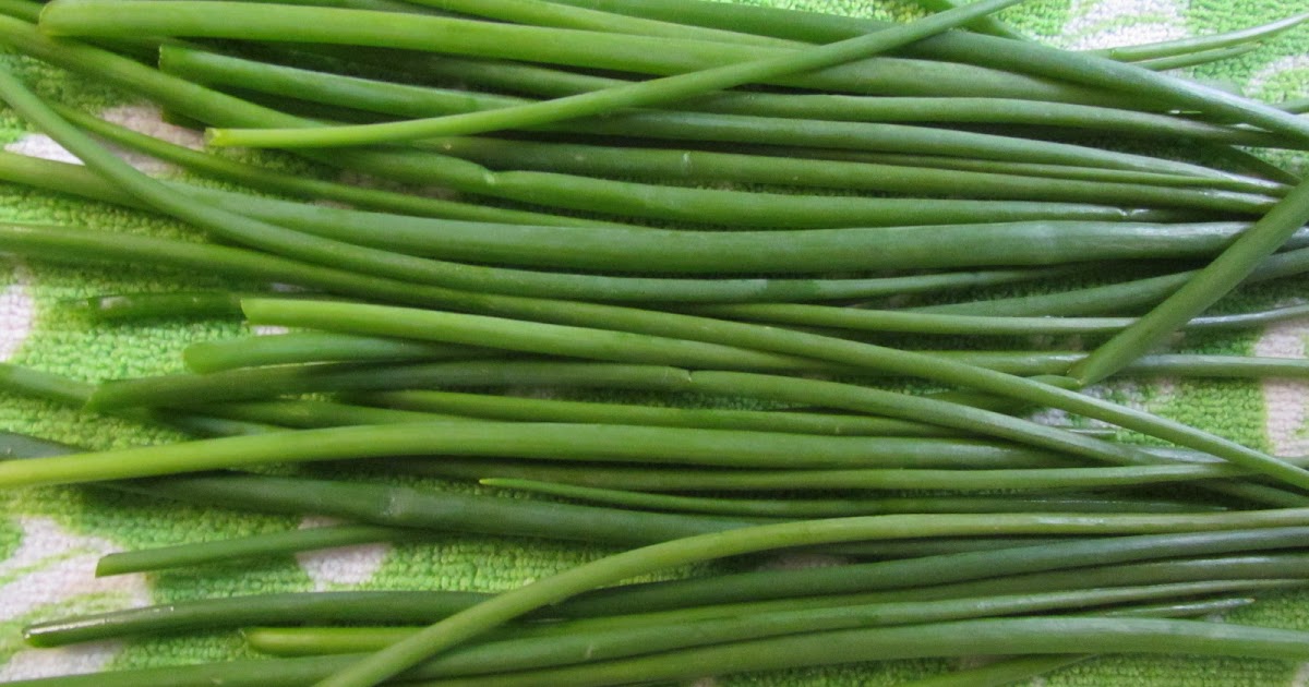 Pioneer Woman at Heart Freezing Green Onions Vegetable Garden