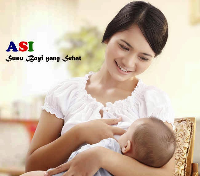Susu Bayi yang Sehat Tips Memilih Susu Bayi yang Sehat