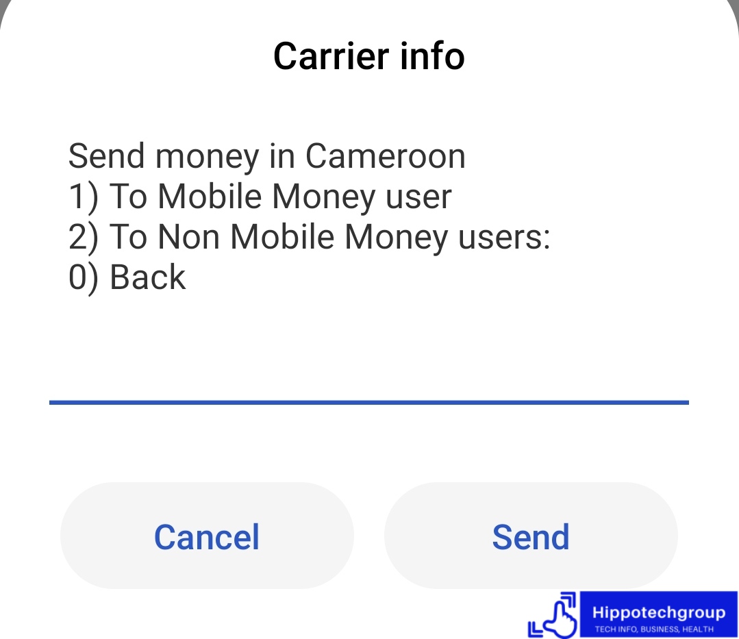 How to Check Mtn Mobile Money Charges (StepByStep)