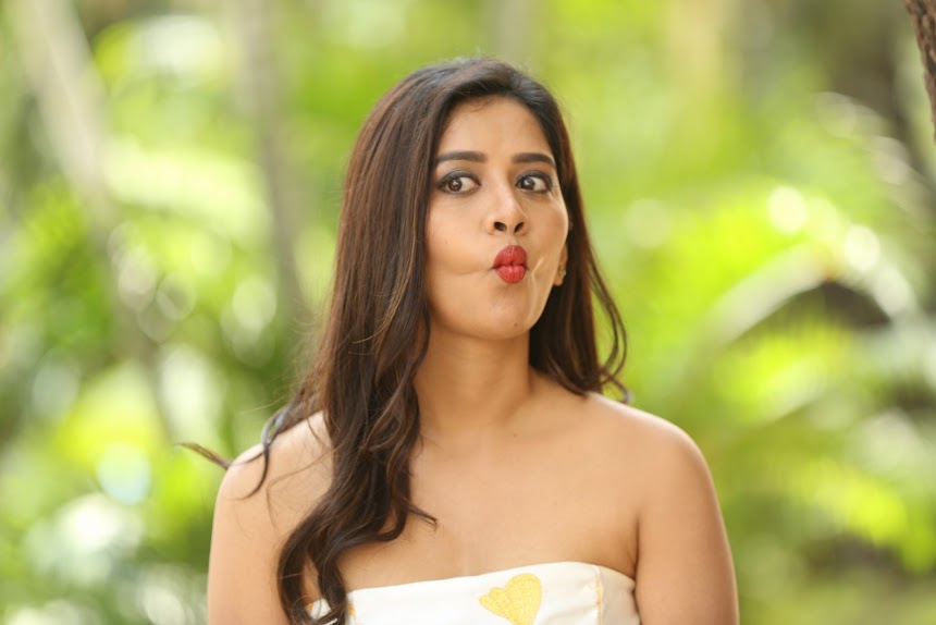 Nabha Natesh at Nannu Dochukunduvate movie Success Meet