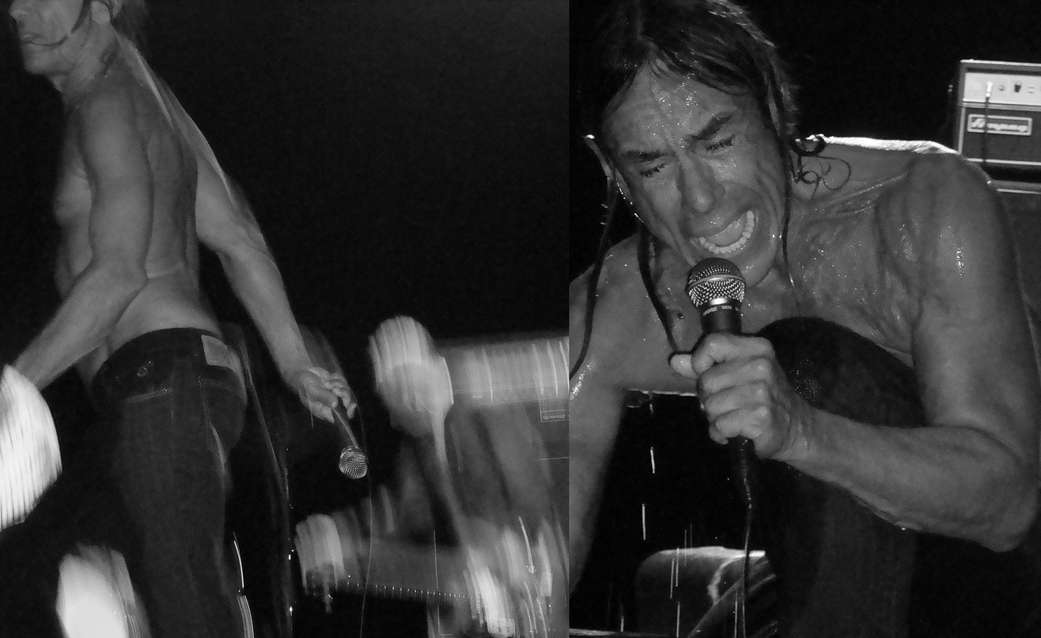 the passenger iggy pop the passenger iggy pop