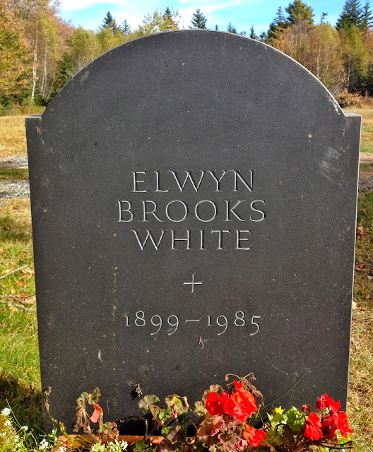 a curious gardener Downeast Maine part 2