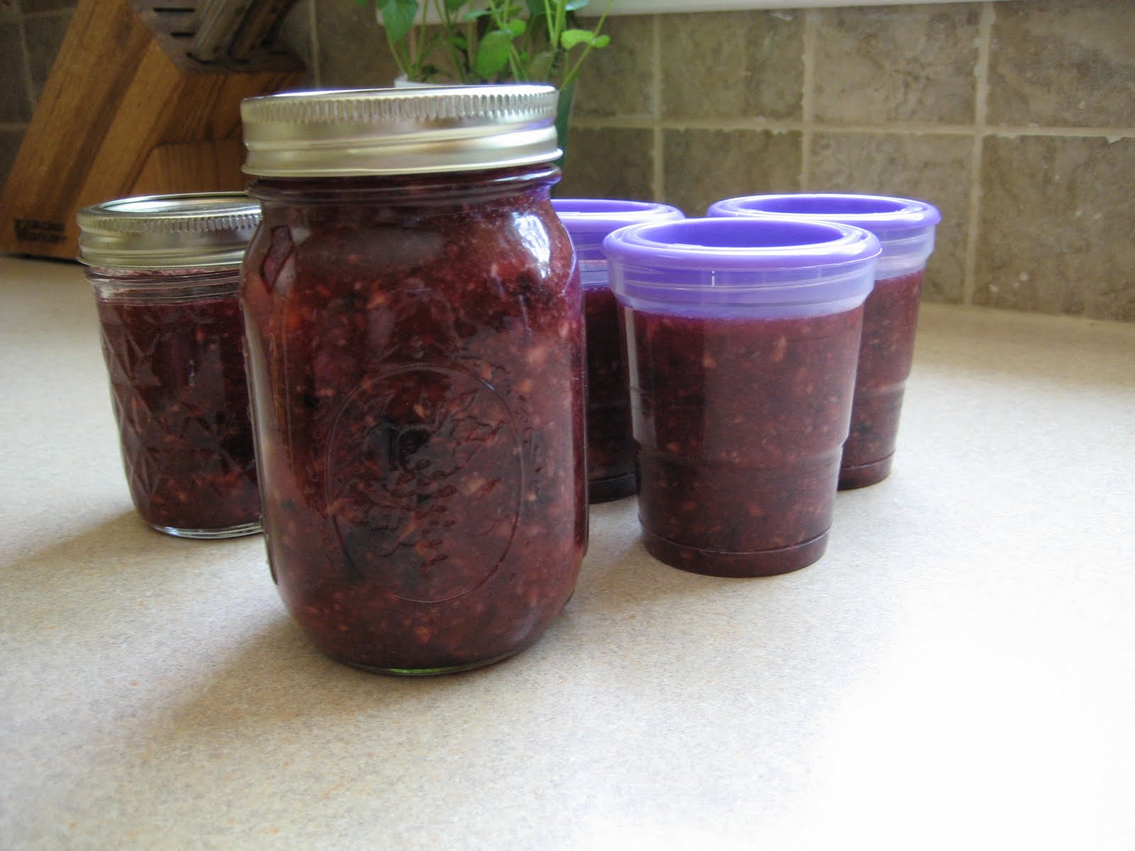 Forever Blueberry Nectarine Freezer Jam