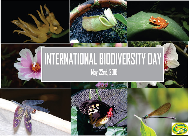 biodiversity day