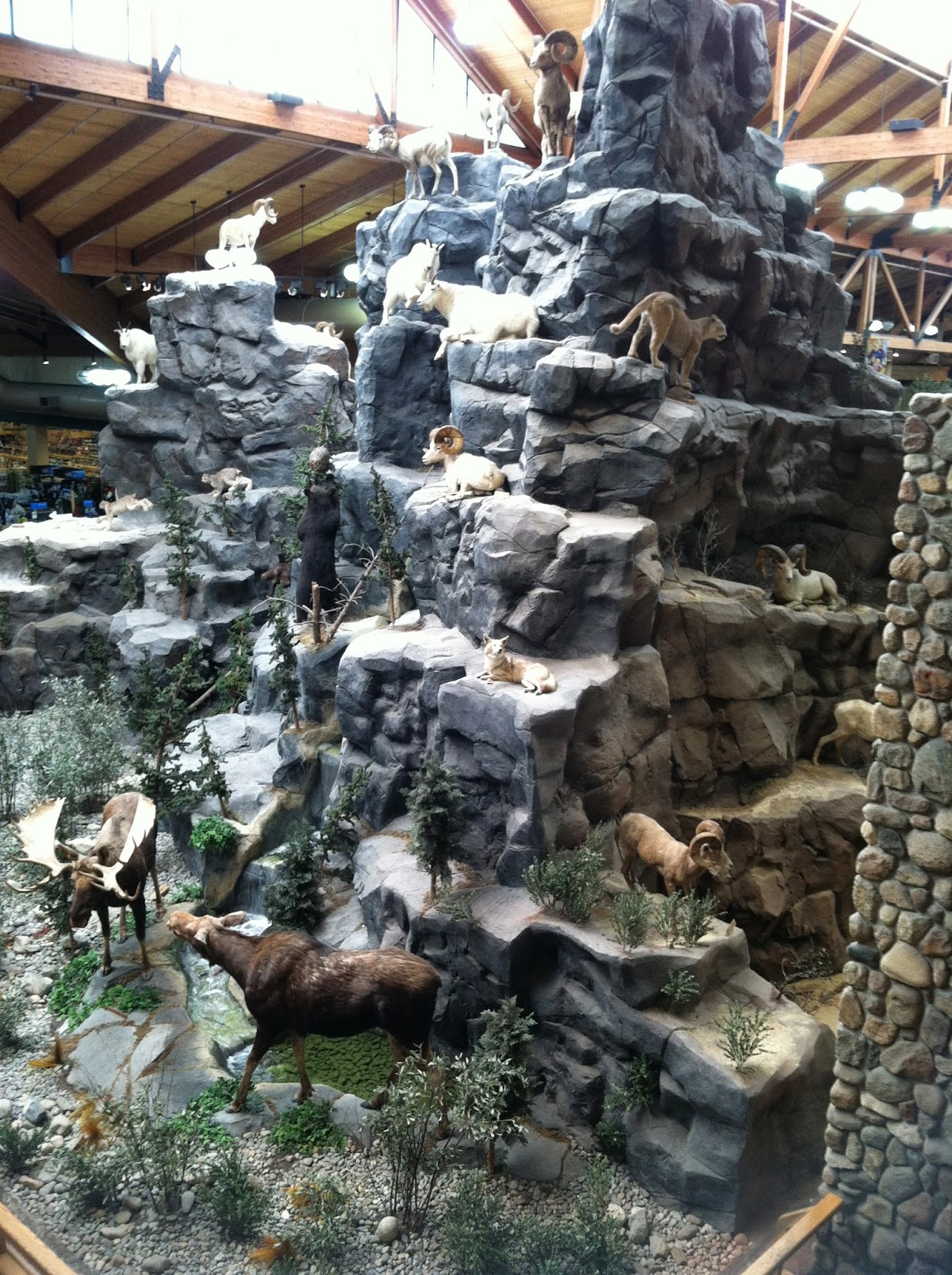 Cabela's What's Inside? The Jersey Momma