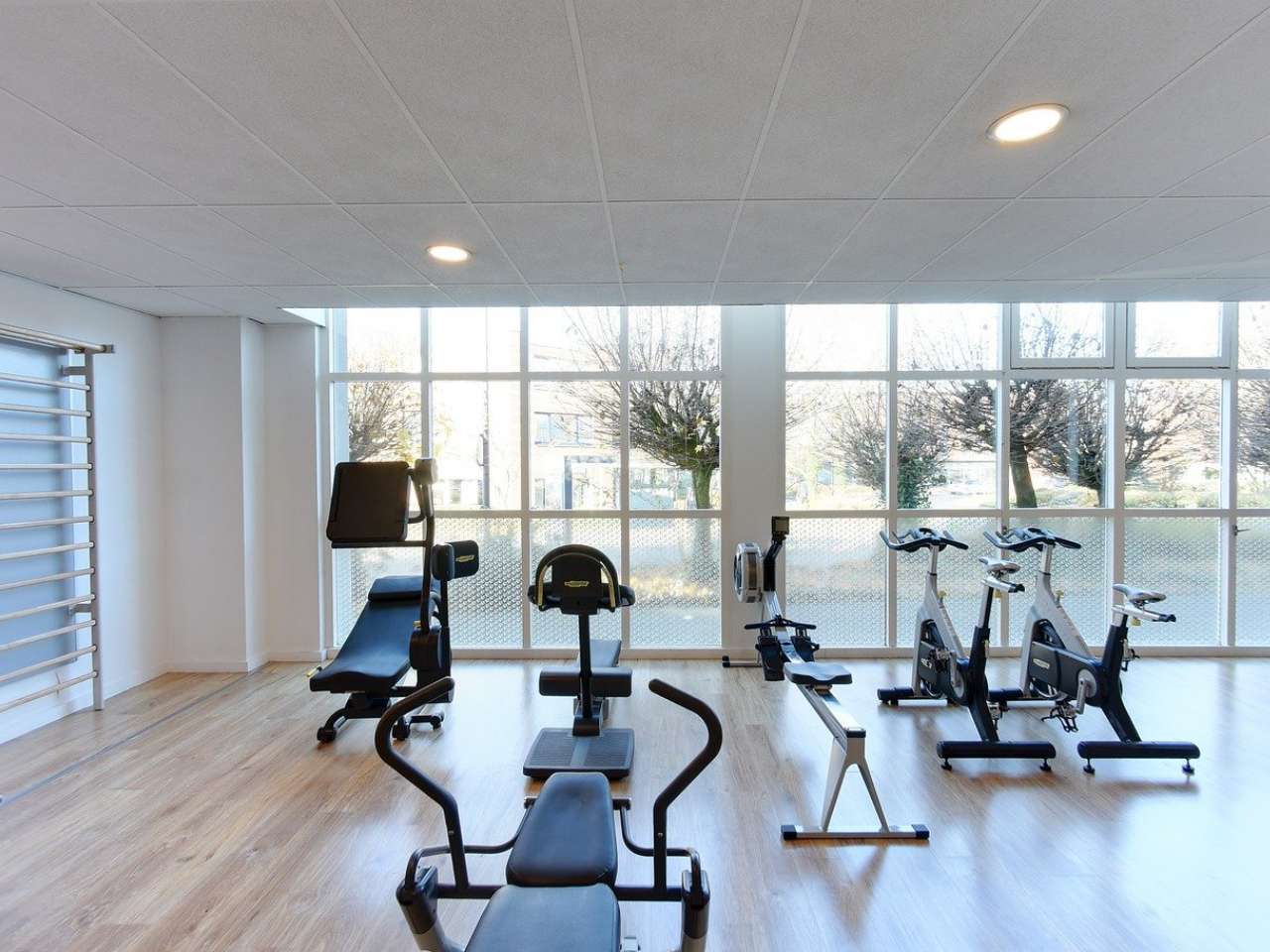 Desain Gym di Rumah dengan Warna Cerah - Sinar Mas Land