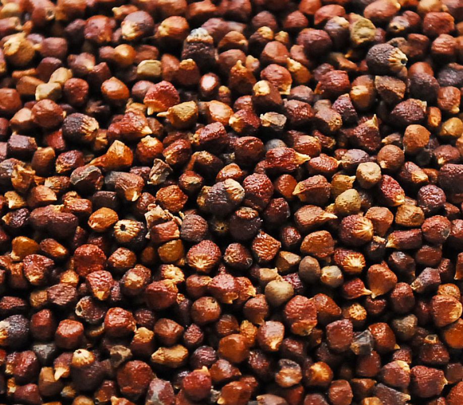 HEALTH BENEFITS OF ALLIGATOR PEPPER