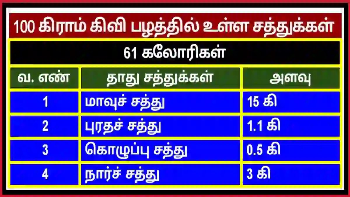 Kiwi Fruits Benefits in Tamil கிவி பழத்தில் உள்ள சத்துக்கள்