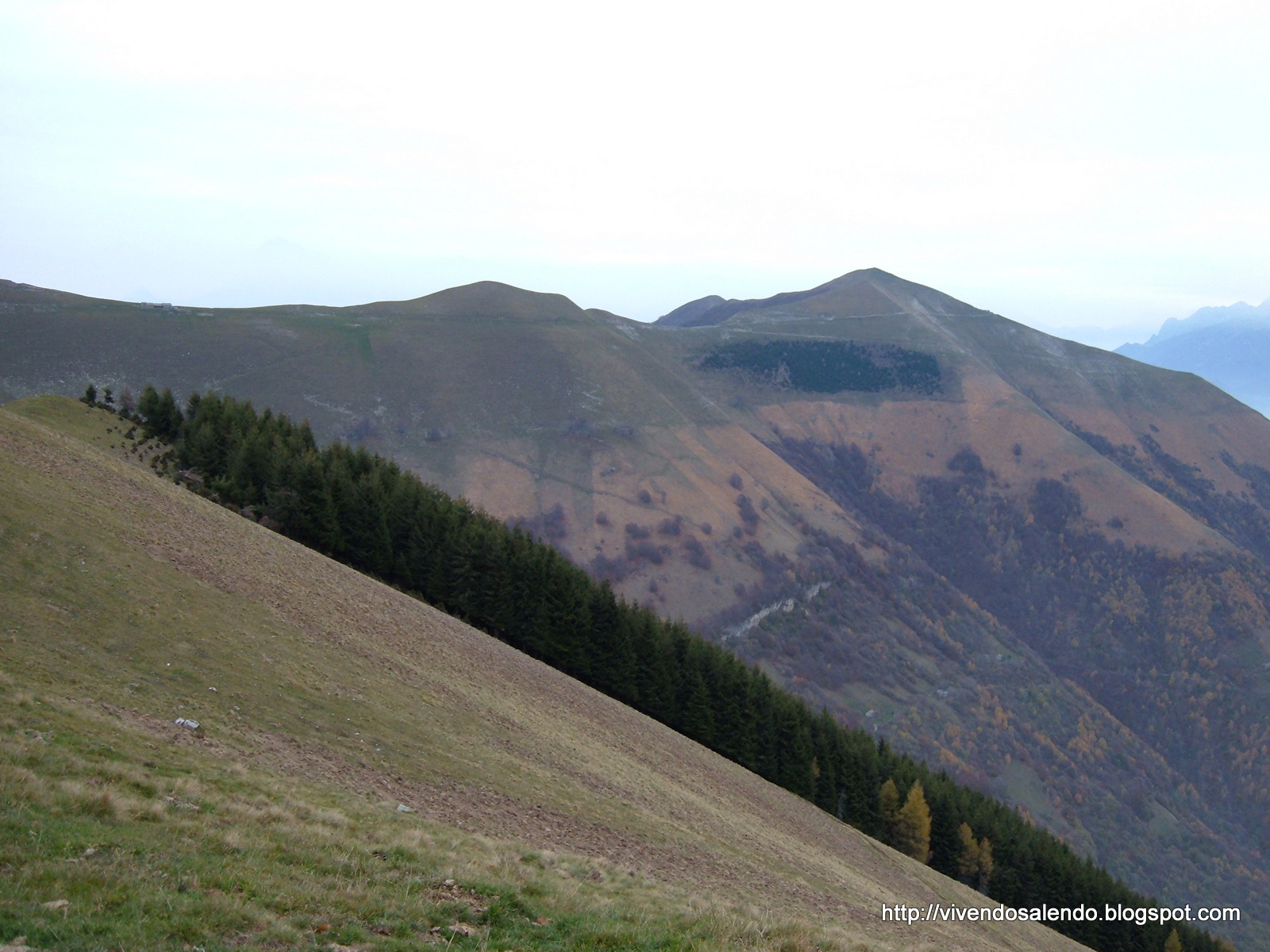 VIVENDO SALENDO Trekking sulle Alpi Lepontine, sulla sponda