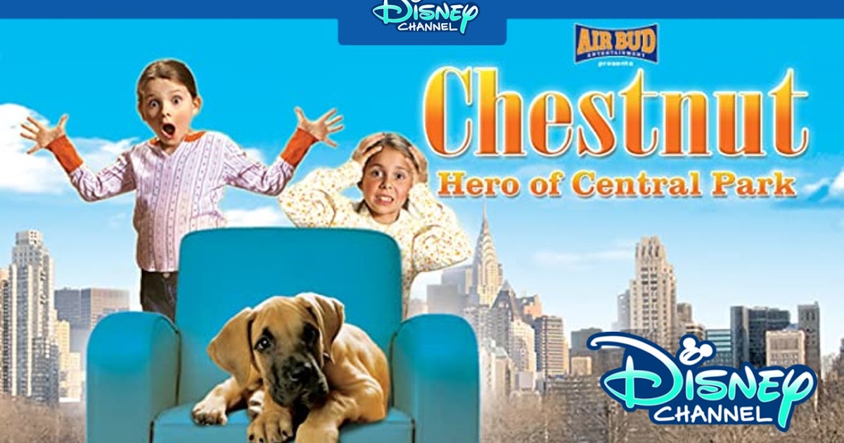 Chestnut Hero of Central Park (2004) [LATINO520P]