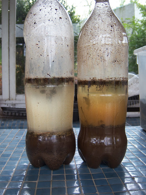 Así están las botellas a día de hoy