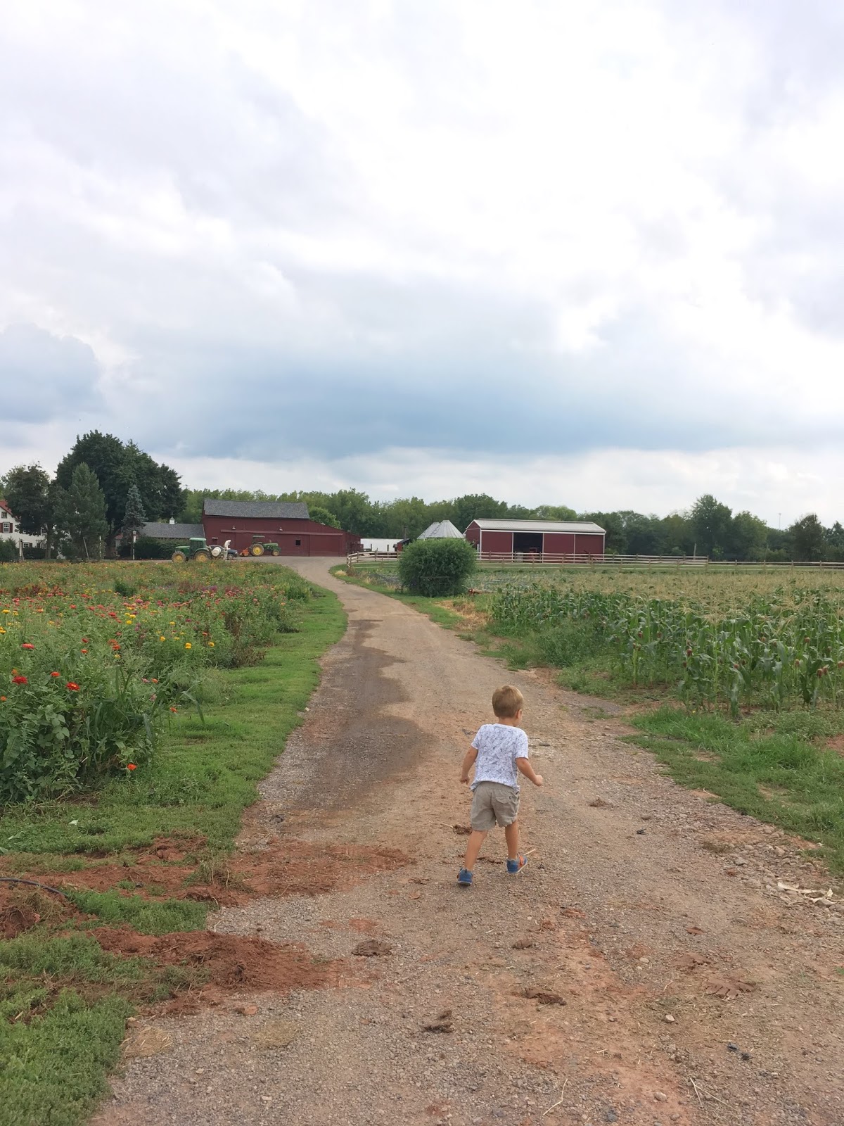 Exploring Local Maple Acres Farm A Hopeful Hood