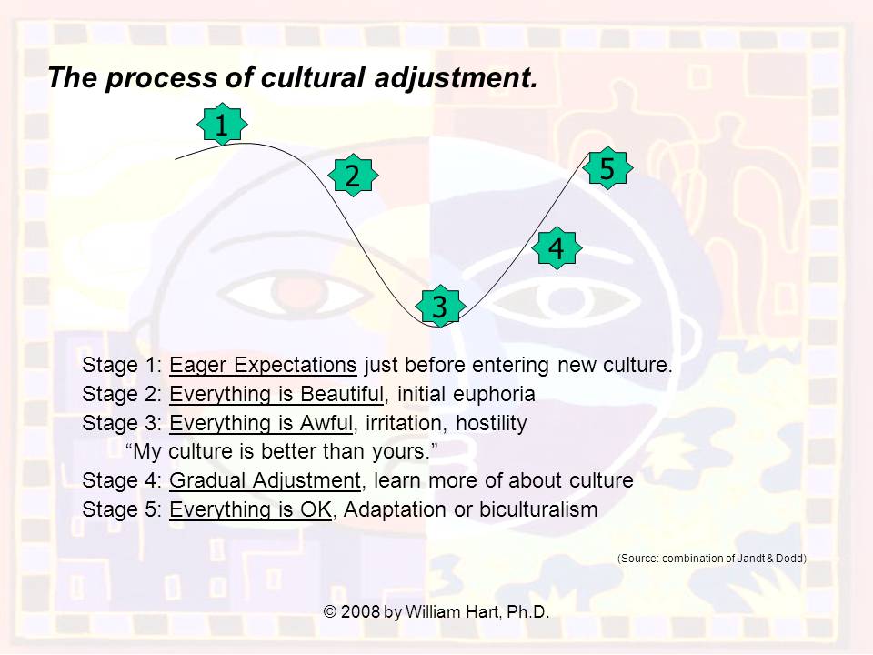WilliamHartPhD's Notes Culture Shock Process of
