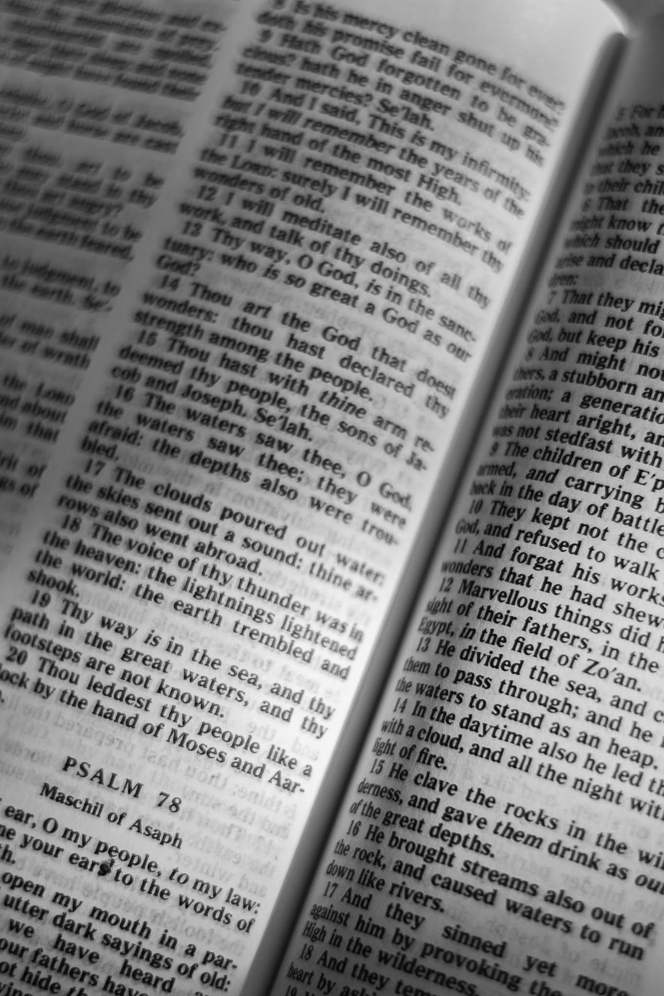 EVERY PLANT NOT PLANTED BY GOD SHALL BE UPROOTED MATTHEW 15 13 KJV every-plant-not-planted-by-god-shall-be-uprooted-matthew-15-13-kjv
