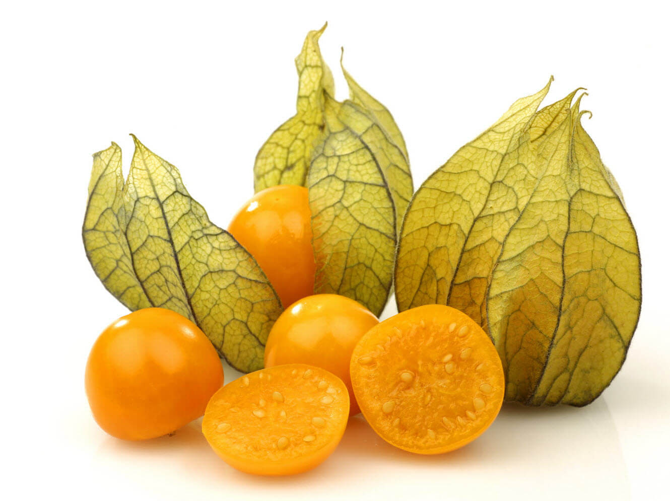 Golden berry plant size