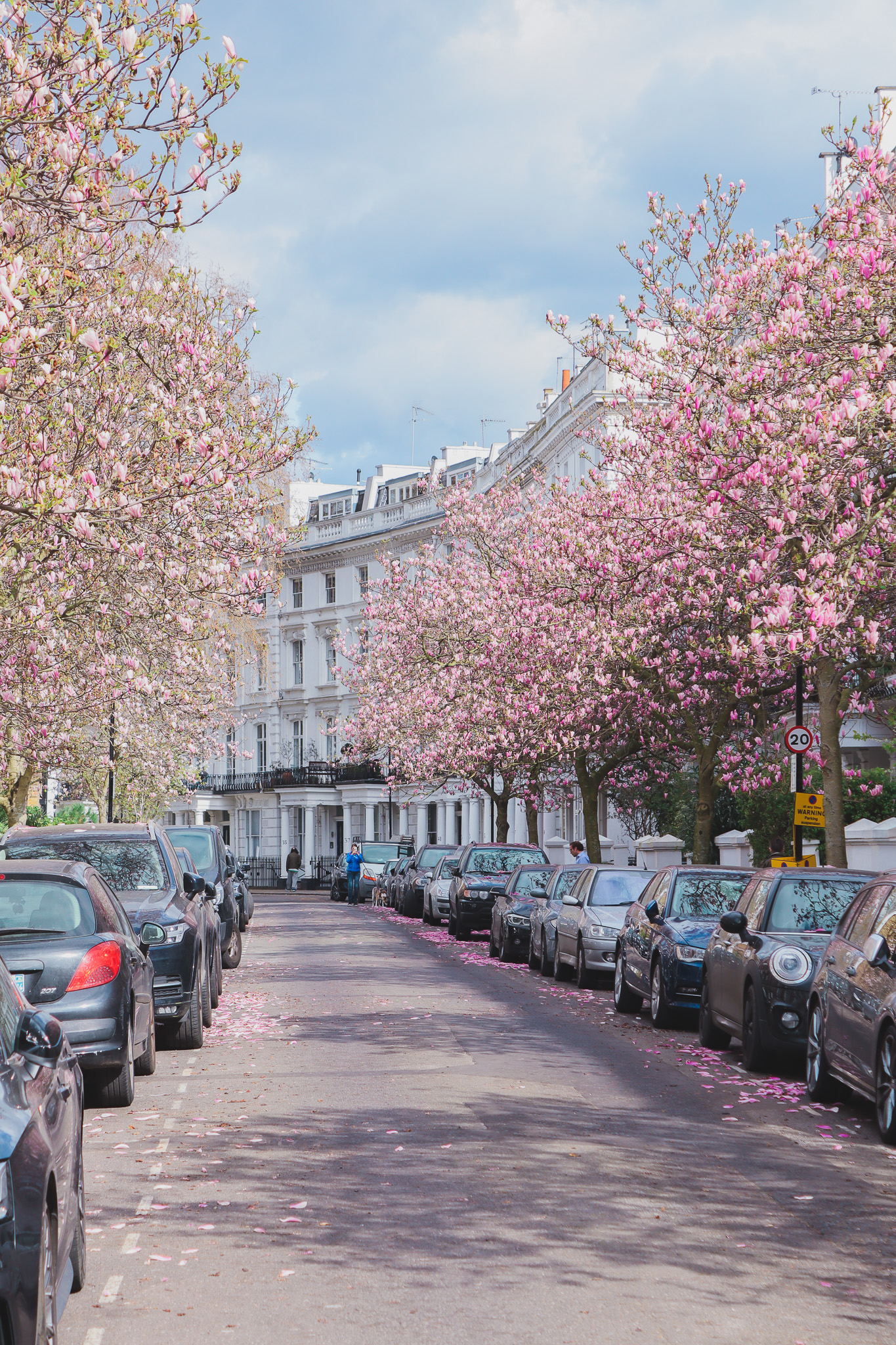Where to find the cherry blossoms and magnolias in London (a complete guide) Daniela Azzip Trips
