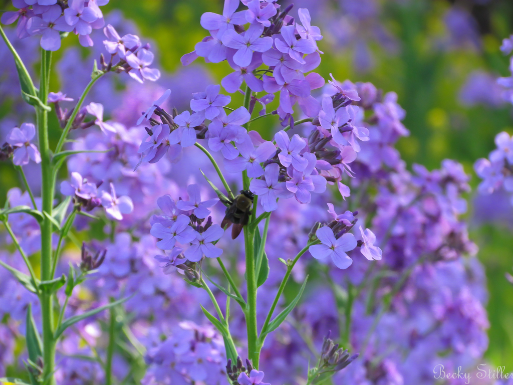 The Return to Inner Stability