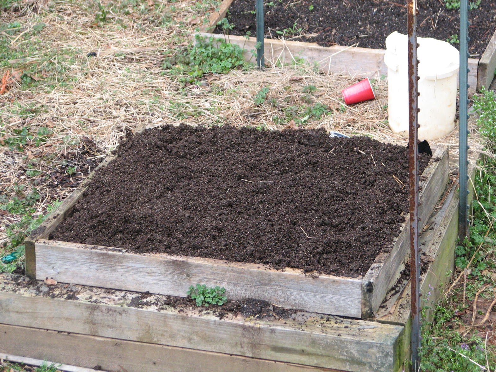 Growing The Good Life Our Backyard Garden: Box Gardening.
