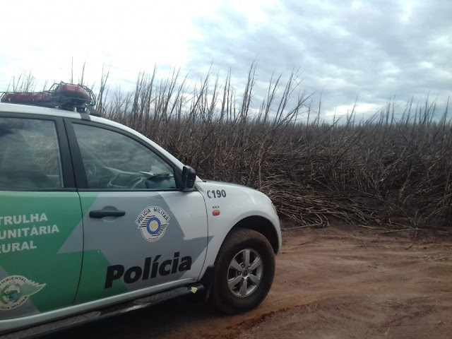 Usina de cana-de-açúcar leva multas de mais de R$ 360 mil por incêndio em áreas de lavoura e de preservação ambiental