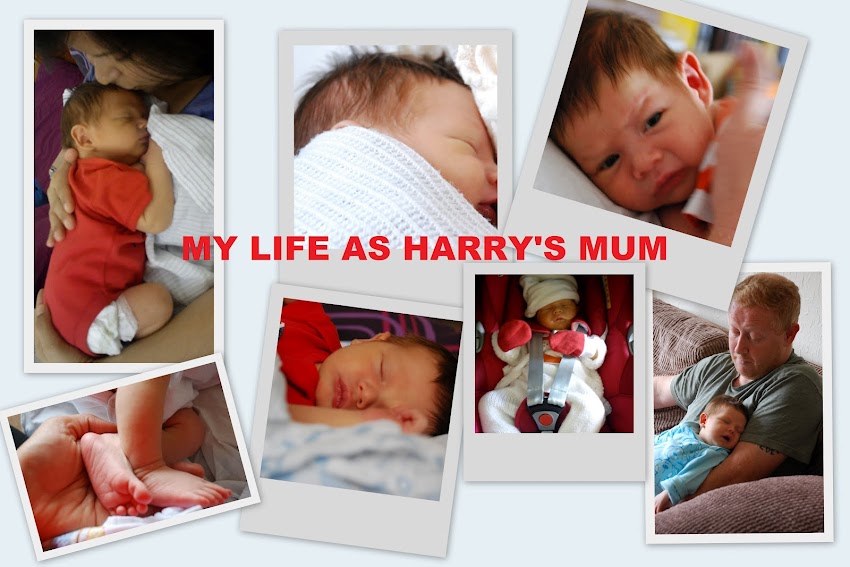 My life as Harry's mum