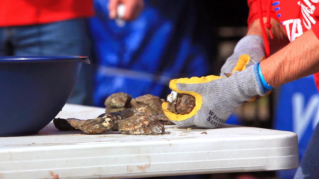 Visit Lake Charles, LA Fur & Wildlife Festival
