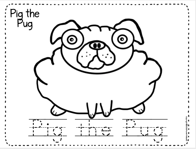 PIG THE PUG BINGO Book Units by Lynn