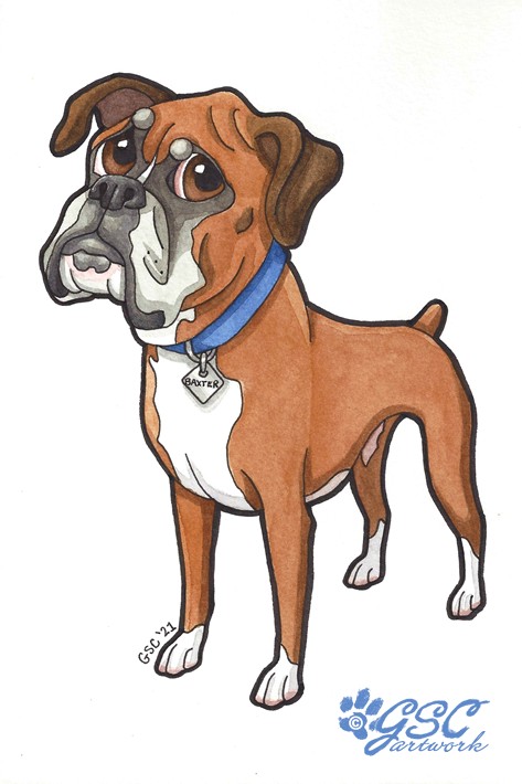 boxer animal art dog caricature cartoon pet portrait custom watercolor painting pen and ink