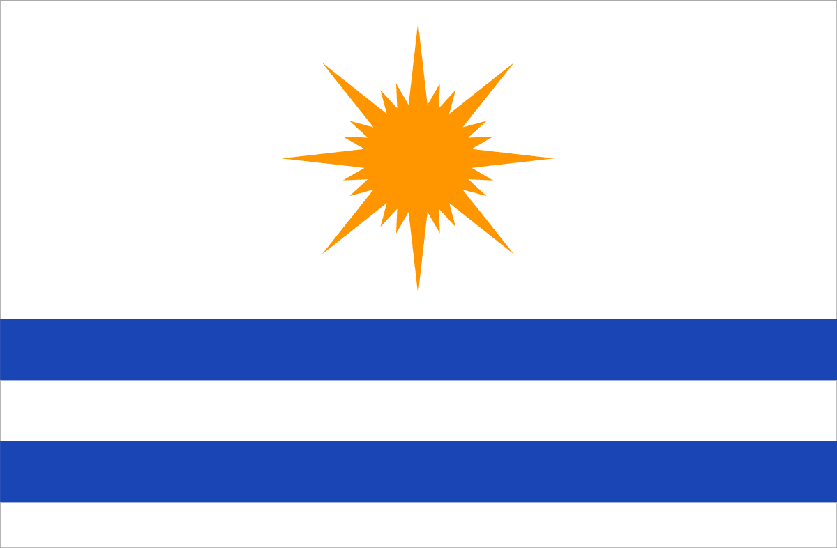 Bandeira de Palmas - TO