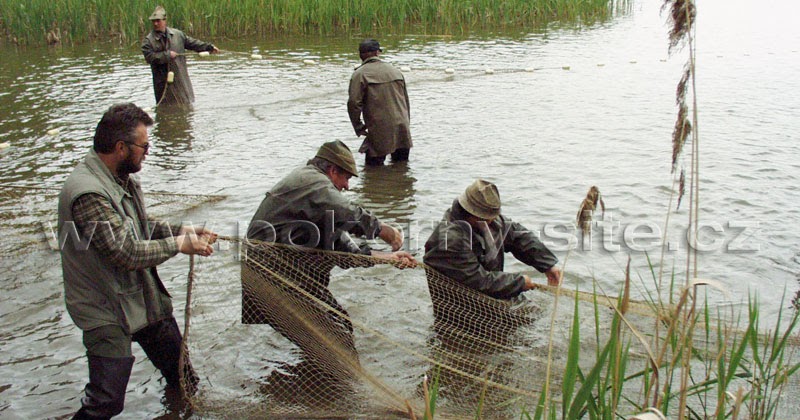 Welches der ist für Sie das richtige?