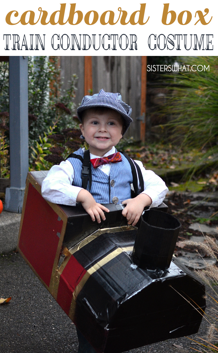 easy cardboard box train costume hogwarts express