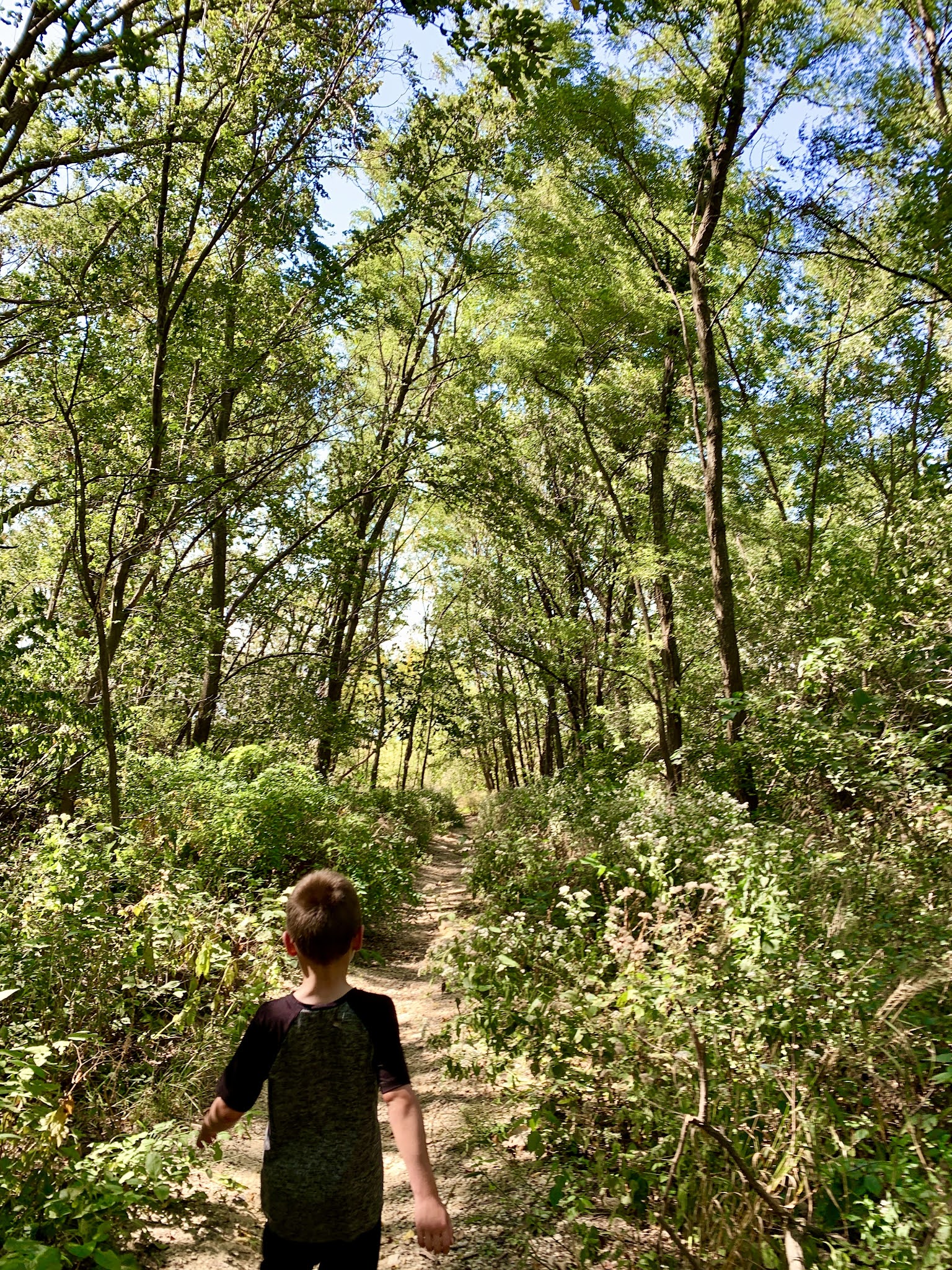 Saylorville Lake 2021 Red Feather Prairie Maze