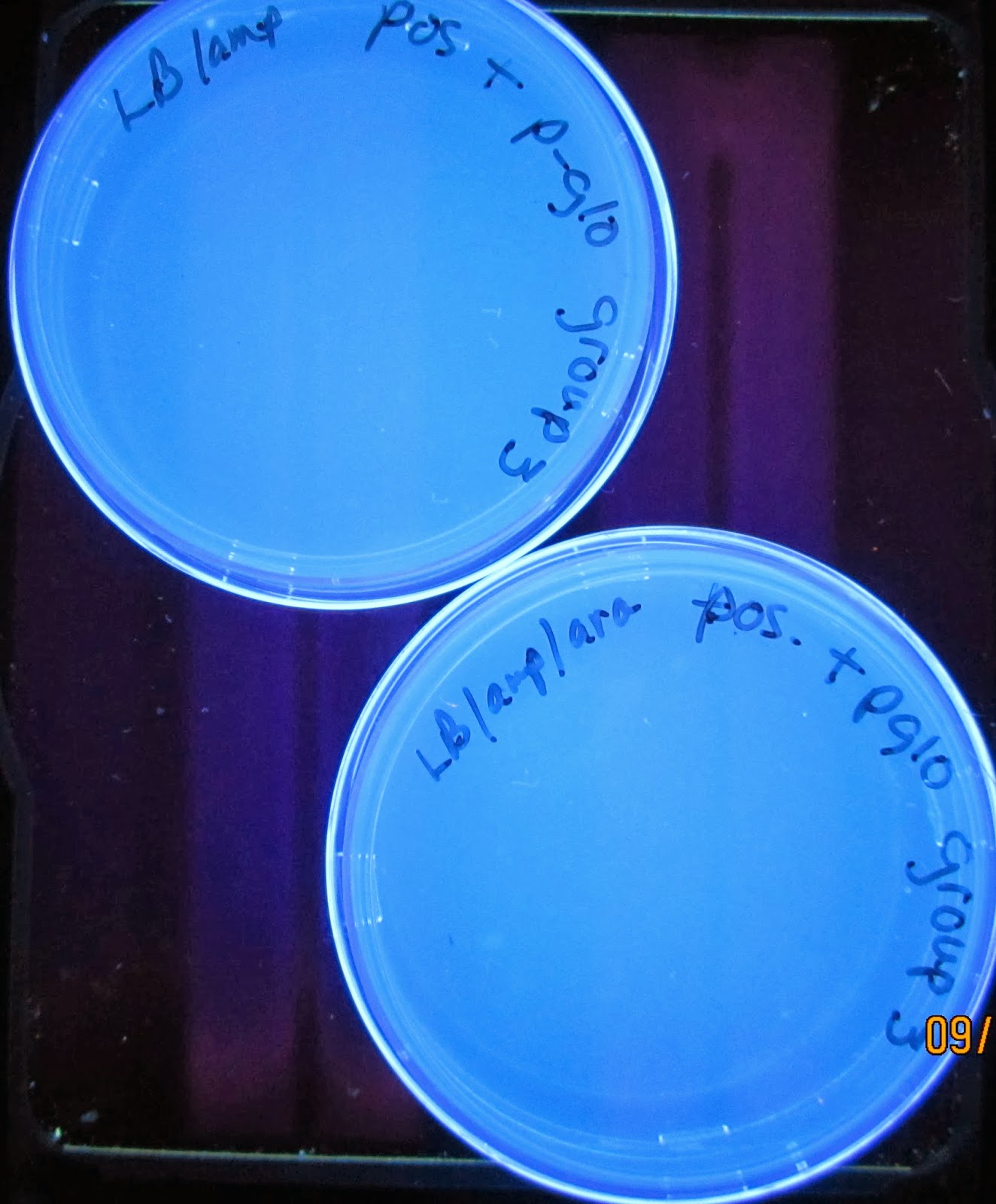 Biomedical Research at Enterprise Princeton Satellite