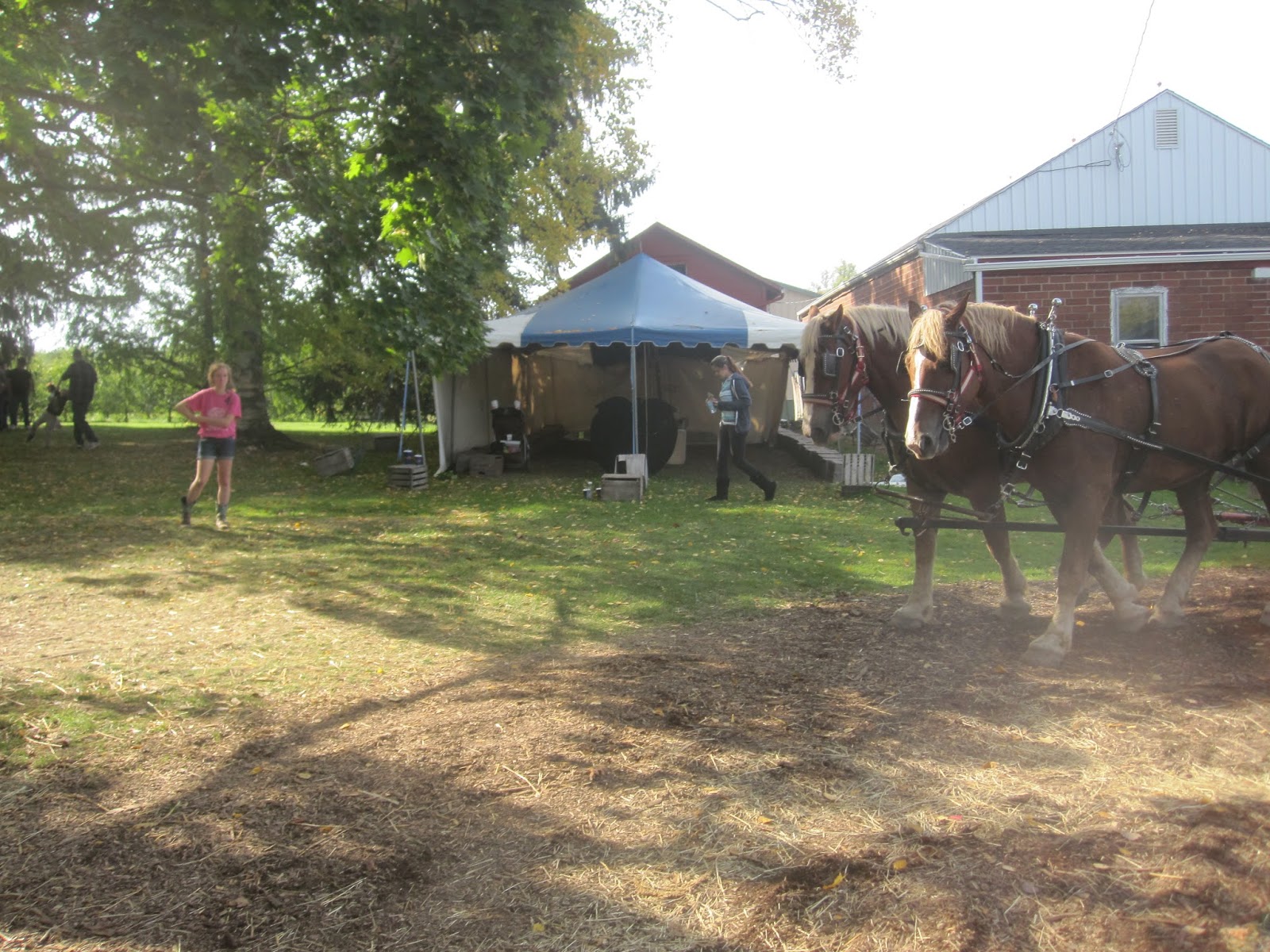 White House Fruit Farm Canfield, OH