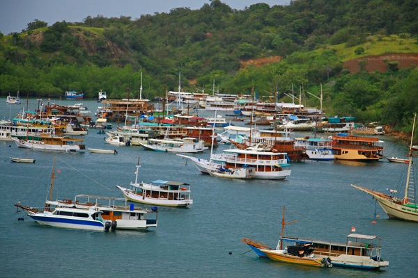 pengalaman sail komodo labuan bajo