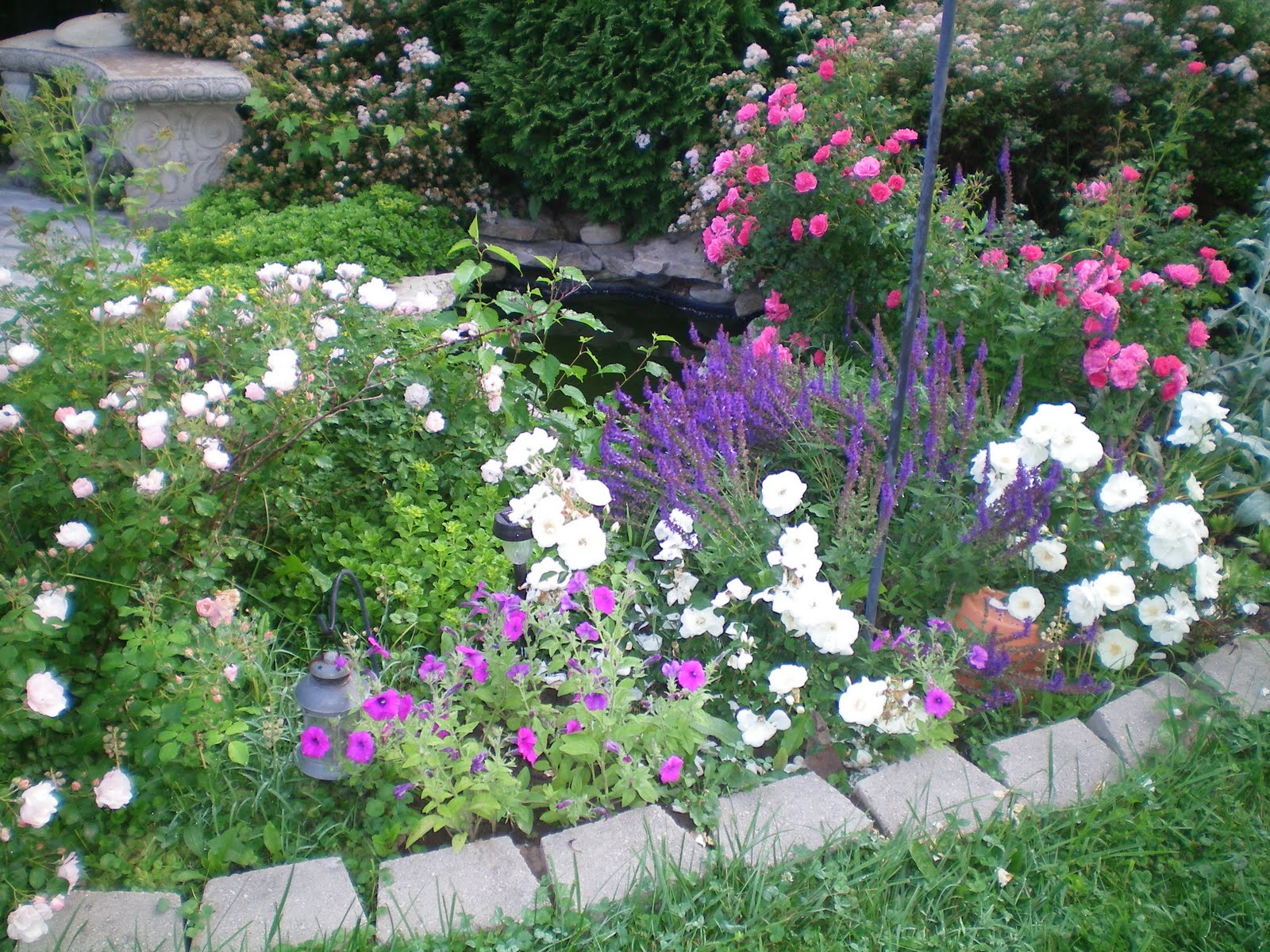 American Homestead: My Dream Garden American Homestead: My Dream Garden on My Dream Patio id=17019