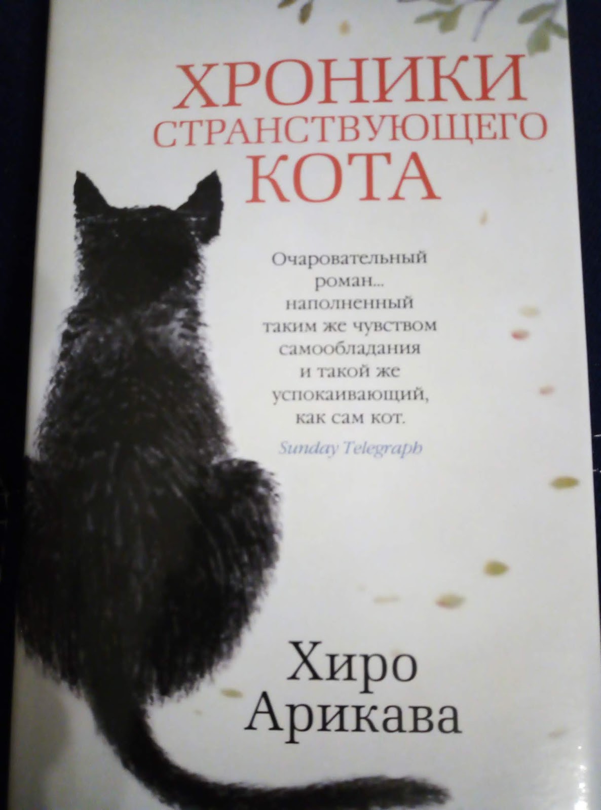 хроники странствующего кота книга. хроники странствующего кота автор:хиро арикава. хроника странствующего. книга хроника странствующего кота. хроника странствующего.